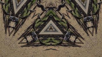 Symmetry of pigeons in triangle kaleidoscope effect video