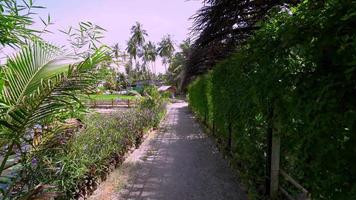 marcher sur la route naturelle au paysage de kampung video