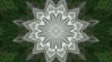Kaleidoscope white feather in green background