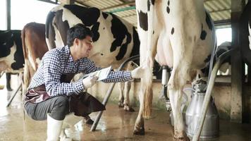 los hombres de agricultura usan camisas a rayas y botas tomando nota de la inspección y el análisis de las vacas en la granja mientras usan el succionador automático de vacas. felizmente dentro de la granja video