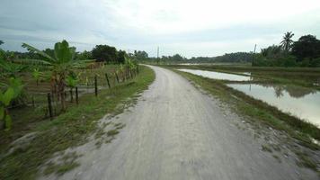 Drive at Malays kampung road banana plantation video