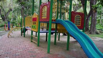 os lutungs, langurs ou macacos de folha escura brincam no playground video