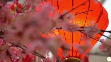 linterna de año nuevo chino tradicional iluminada video