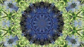 palmier d'animation kaléidoscope vert sur fond de cercle