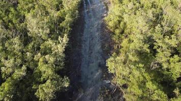 Aerial look down land clearing at mangrove tree forest. video