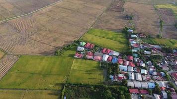 mosca aérea hacia el pueblo malayo video