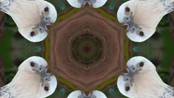 Kaleidoscope eagle in symmetry abstract background