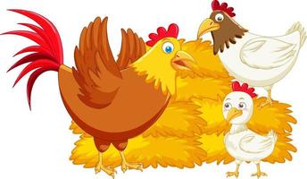 Mother chicken and her baby cartoon animals vector