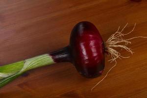 Ripe Violet onion with green photo