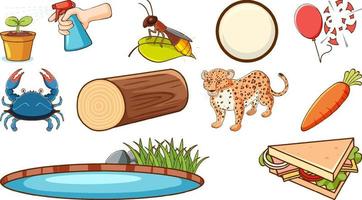 Cute animals and other objects vector