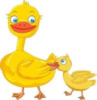 Mother duck and duckling on white background vector