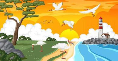 Outdoor scene with American white ibis group vector