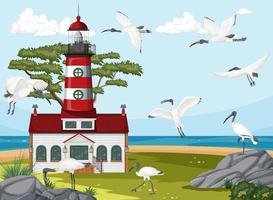 Lighthouse on the coast scene vector