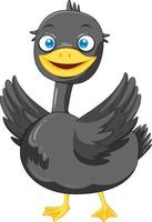 Duck mallard cartoon character vector