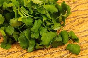 Fresh Coriander leaves photo