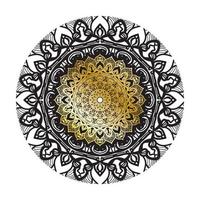 Vector round abstract circle. Luxury Mandala style.