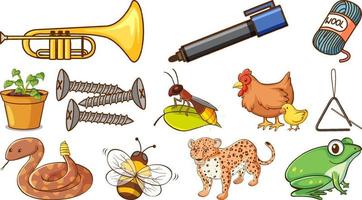 Wild animals and other objects vector