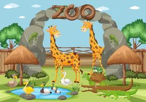 Animals at the zoo vector
