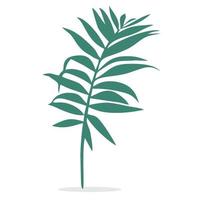 vector or coconut or palm leaves in green color on white background.