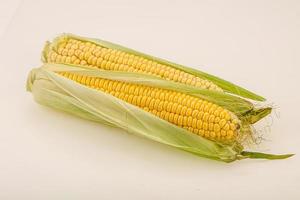 Vegan cuisine - Ripe sweet corn photo