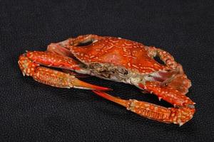 Boiled crab - ready for eat photo