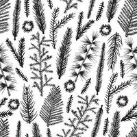 Seamless pattern with christmas tree and pine fir branches, hand drawn vector illustration, winter holiday background