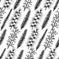 Seamless pattern with christmas tree and pine fir branches, hand drawn vector illustration, winter holiday background