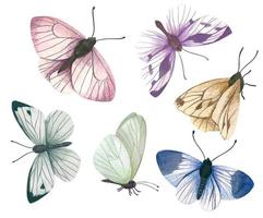 Set of six pastel butterflies, hand drawn vector watercolor illustration