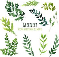 Several green watercolor leaves and branches, hand drawn watercolor design elements. Vector illustration. Perfect elements for patterns, greeting cards, invitations.