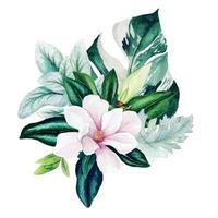 Magnolia and leaves, bright watercolor bouquet with monstera leaves, hand drawn vector illustration