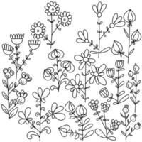 A set of doodlo twigs with three flowers on each, decorative leaves and berries, fantasy plants vector