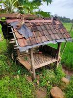 un pequeño edificio en el arroz, un lugar para el descanso de los granjeros en indonesia foto