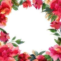 marco cuadrado de acuarela botánica de peonía rosa. decoración de tarjeta ditsy floral vector
