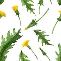 Fresh dandelion seamless pattern vector