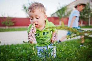 Two brothers sniffing flowers, little nature researchers . photo