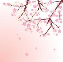 vector cherry blossom pink flower