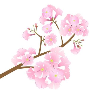 vector pink trumpet flower