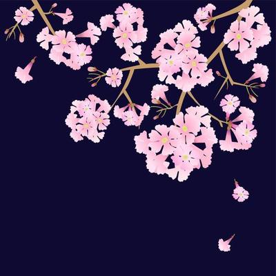 vector pink trumpet flower