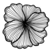 dibujo vectorial y flor de línea vector