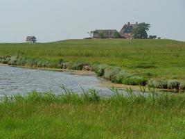 Hallig Hooge in the german north sea photo