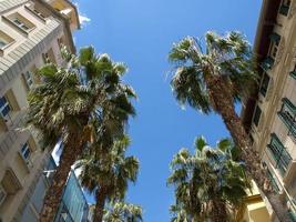 Malaga city in Spain photo