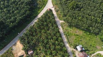 Top view of the village, fields and forests near the village photo