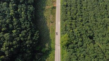 Flight over autumn forest. Top view of the beautiful colors of autumn in the forest. The way through the forest. Soothing autumn scenes photo