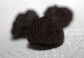 trufas de verano silvestres negras cerca de la familia tuberaceae botánico moderno de alta calidad de gran tamaño impresiones de fondo cocina decoración del hogar foto