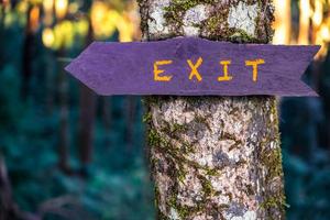 Exit wooden sign is on tree in the forest. photo