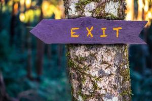 el cartel de salida de madera está en un árbol en el bosque. foto