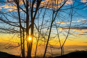 amanecer a través de los árboles en la mañana con fondo natural de montaña. foto