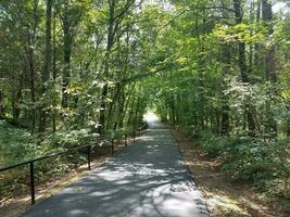 black metal bar or railing in the woods with asphalt trail photo