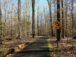 asphalt trail or path in forest or woods with hill sign with bike photo