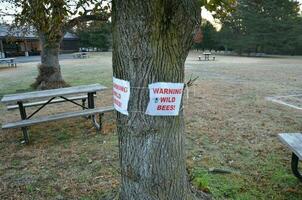 warning wild bees sign on tree trunk with table